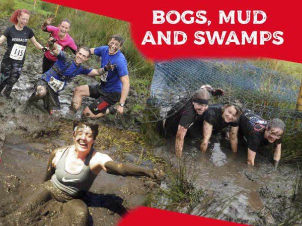 bog commander mud and swamps