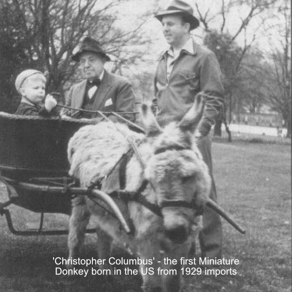 mini donks - christopher columbus