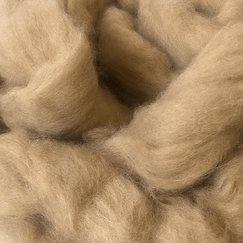 10 grams of dehaired guanaco fibre from the Peak District UK